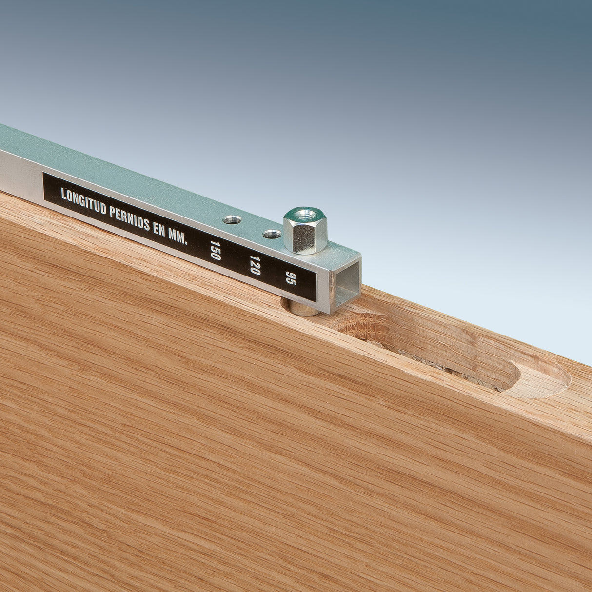 FR129VB ROUTER FOR HINGES 250mm 120V
